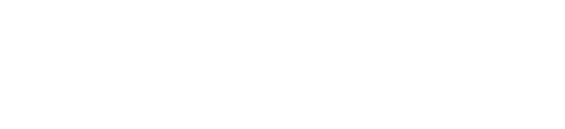logo_white